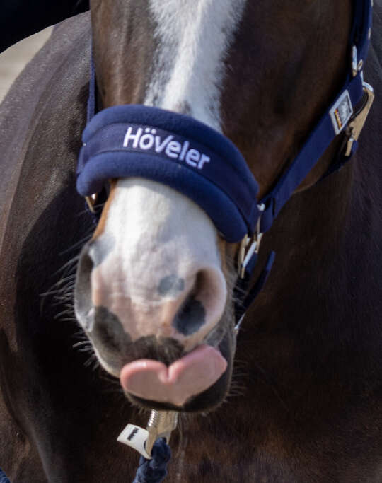 Bel&oslash;nning med holdning
