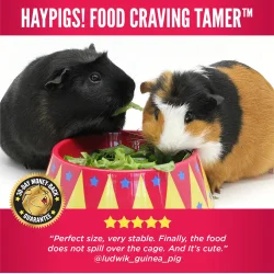 HayPigs! Madtmmer - madskl