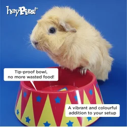 HayPigs! Madtmmer - madskl