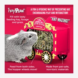 HayPigs! Cirkusvogn  Hbur