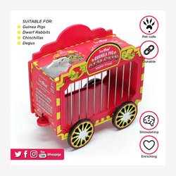 HayPigs! Cirkusvogn  Hbur