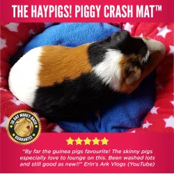 HayPigs! - Puttemutte Flyder