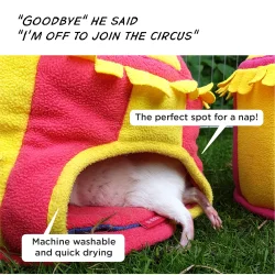 HayPigs! Cirkustelt - hyggehus