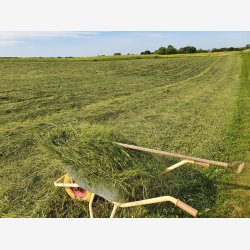 Vild med Vilje Sommerh 2025 6 kg