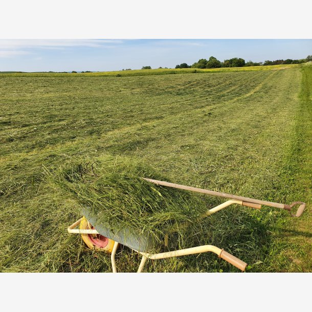 PetSnacks Vild med Vilje Sommerh 2025 - hel balle