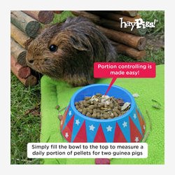 HayPigs! Junior madtmmer - mini madskl