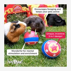 HayPigs! Magisk 3-i-1 cirkusbold