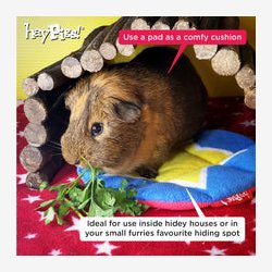 HayPigs! Cirkus Grisemtte - dobbelt pakke