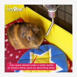 HayPigs! Cirkus Grisemtte - dobbelt pakke