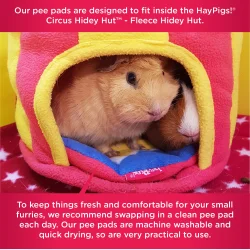 HayPigs! Cirkus Grisemtte - dobbelt pakke