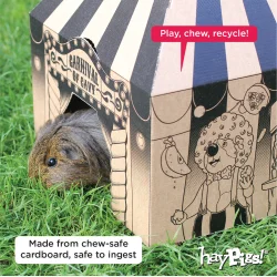 HayPigs! Cirkus Paptelt - spiseligt 