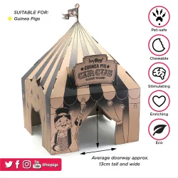 HayPigs! Cirkus Paptelt - spiseligt 