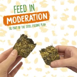 Burgess Excel Forage &amp; Feast Hbar med Morgenfrue 