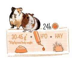 Puur Gourmet Marsvin 2,5 kg