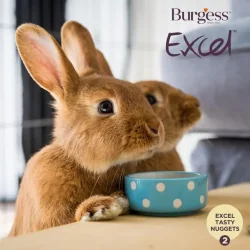 Burgess Moden Kanin m/Tranebr og Timian 1,5 kg