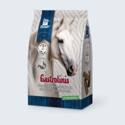DERBY Gastrolinis