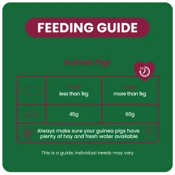 Burgess Indoor Marsvin m/Passionsblomst 1,5 kg