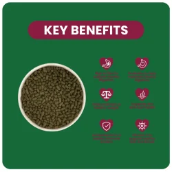 Burgess Indoor Marsvin m/Passionsblomst 1,5 kg