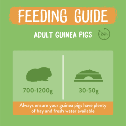 Burgess Marsvin m/Mynte