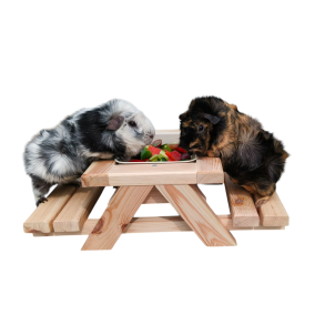 Picnic Bord med Foderbakke