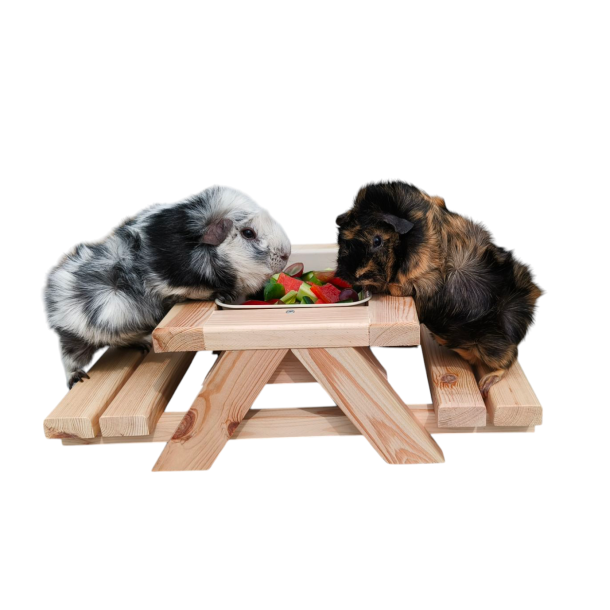 Picnic Bord med Foderbakke  Woodwork by PetSnack 