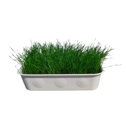 Foderbakke til Picnic Bord eller Grs