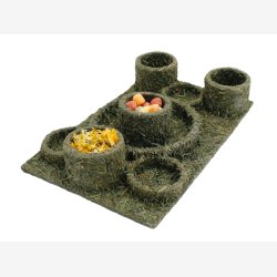 JR Back to Instinct - Forlystelsespark