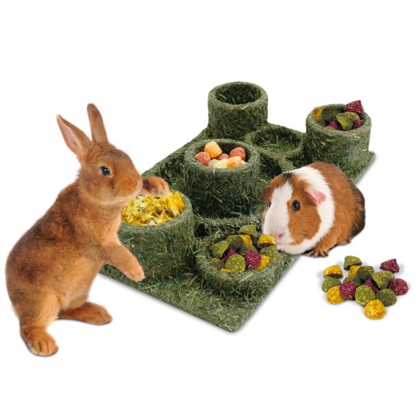 JR Back to Instinct - Forlystelsespark