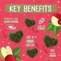 Burgess Excel Winter Berry Bakes  LIMITED EDITION