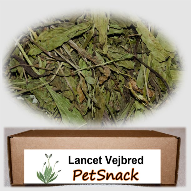 Lancet vejbred 70 g