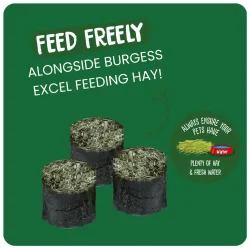  Burgess Excel Meadow Munchies Hruller 1 kg
