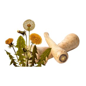 Pastinak- og Mlkebttepiller 160 g