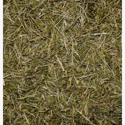 Koriander Stilke 130 g