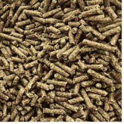 Naturligvis Marsvin 3-6 kg