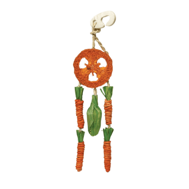 Rosewood Carrot Dream Catcher