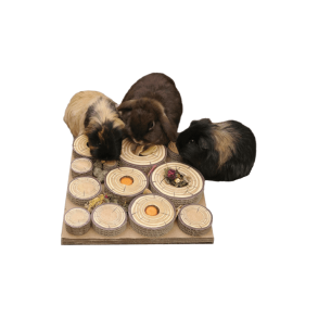 Rosewood Maze-A-Log Treat Challenge